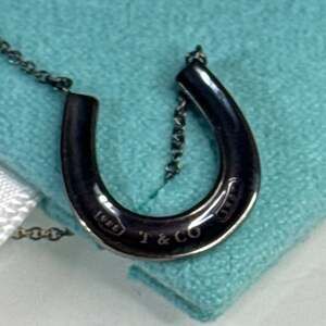 Preowned Tiffany & Co Sterling Silver 18” Horseshoe Necklace